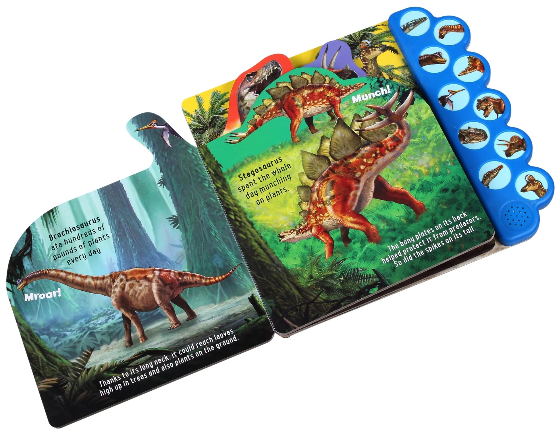 Discovery: Rumble with the Dinosaurs! (Board Book)